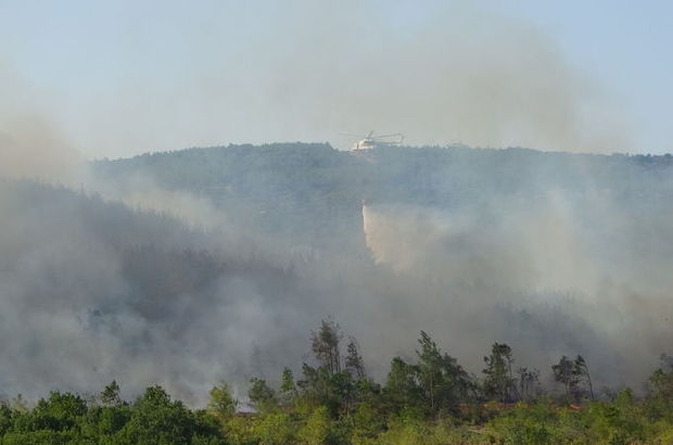 Keşan'daki orman yangını kontrol altına alındı