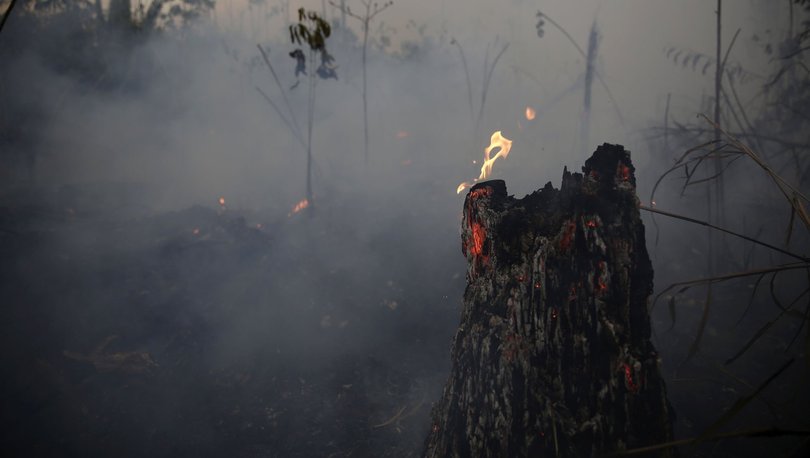 Amazonlar'dan sonra Dünyanın 'ikinci akciğerleri' de yanıyor