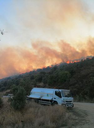 Balıkesir'de orman yangını