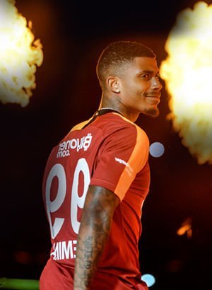 2519233_300x410.jpg