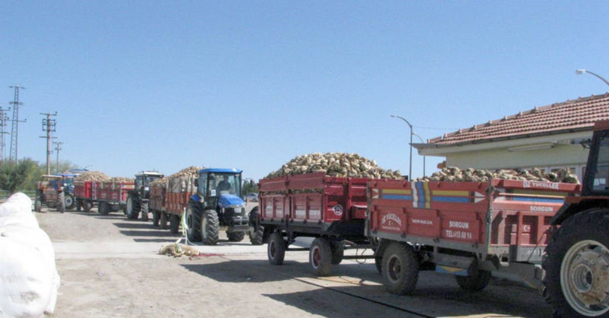 yozgat seker fabrikasi nda pancar alimlari basladi