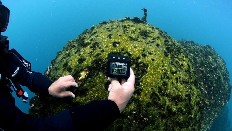 Dünyanın en büyüğü Van Gölü'nde keşfedildi - Haberler