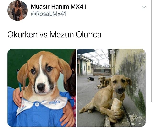 Yakın zamanda paylaşılan en komik tweetler!