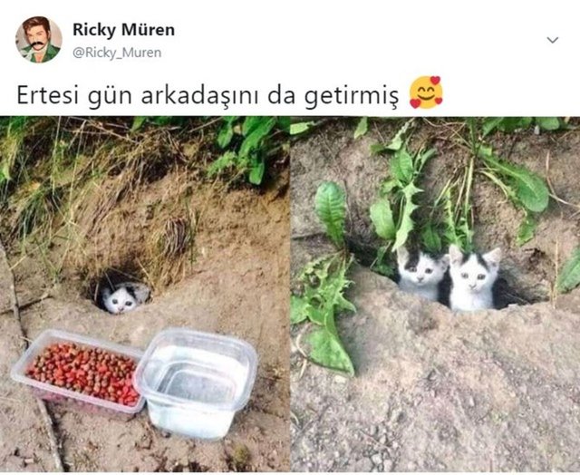 Yakın zamanda paylaşılan en komik tweetler!