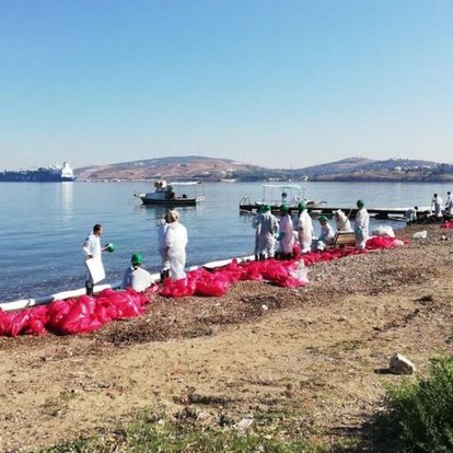 Foça'da, denizde kirliliğe neden olan firmaya 144 bin lira ceza