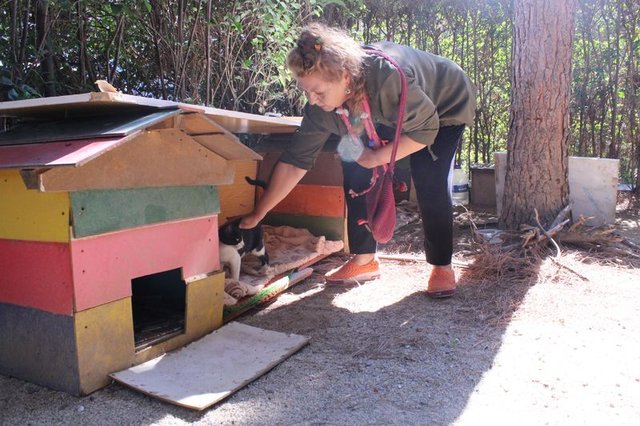 Yeşilçam'ın güzeli Fatma Belgen pazarda bere satıyor, Magazin haberleri
