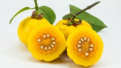 pandora garcinia cambogia kullananlar