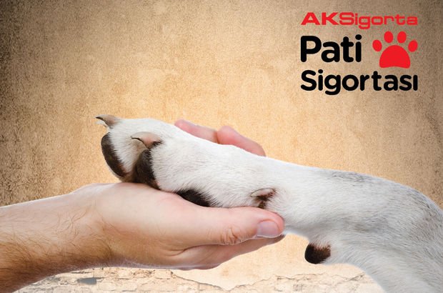 ak sigorta dan pati kardesligi