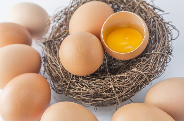 Yumurta ihracatında dünya üçüncüsüyüz