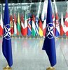 NATO Genel Sekreteri Jens Stoltenberg, "Müttefiklerin hepsi Ukrayna