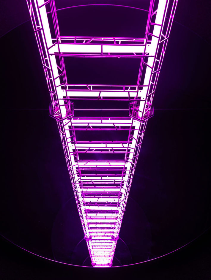 Yayoi Kusama, Ladder to Heaven (2019) (Fotoğraf: David Zwirner)