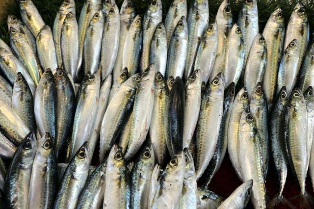 Uskumrunun Faydalari Saymakla Bitmiyor Haberler Saglik Haberleri