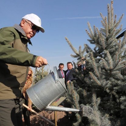 Son Dakika Cumhurbaskani Erdogan 11 Milyon Fidan Dikti Ortaligi Karistiranlar Nerede Haber Gundem Haberleri