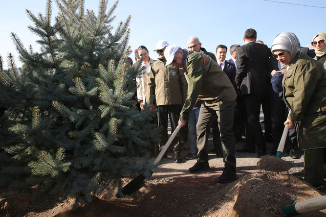 Son Dakika Cumhurbaskani Erdogan 11 Milyon Fidan Dikti Ortaligi Karistiranlar Nerede Haber Gundem Haberleri