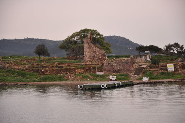 Tavuk adası