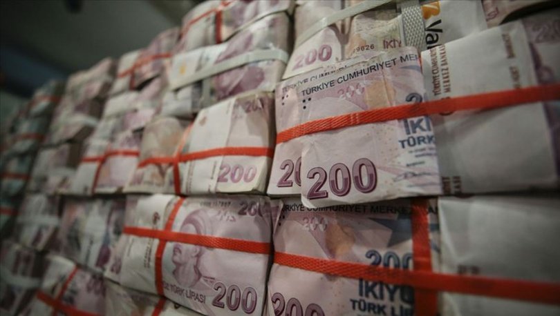 Hazine 6,9 milyar lira borçlandı
