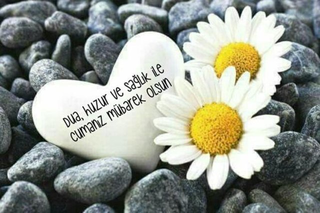 Cuma mesajları kısa ve öz 2020! En güzel resimli cuma ...