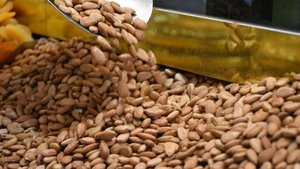 Kayısı çekirdeğinden 16,4 milyon dolar gelir