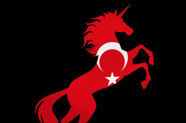 ‘Türk unicorn’u bu alandan çıkacak’