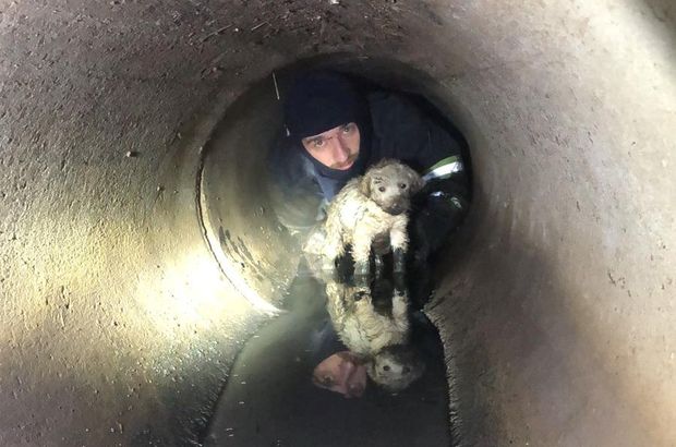 Yağmur kanalına giren yavru köpek kurtarıldı