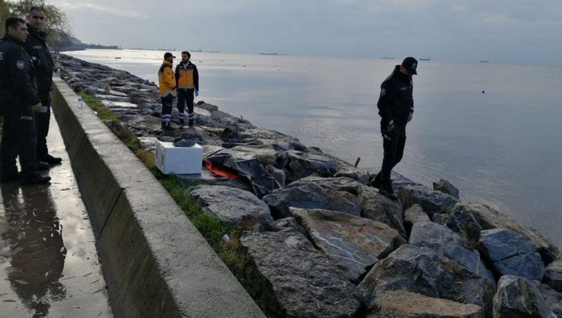 SON DAKİKA AKILALMAZ OLAY! Olay yeri: İstanbul! 75 yaşındaki kadının cansız bedeni denizde bulundu!