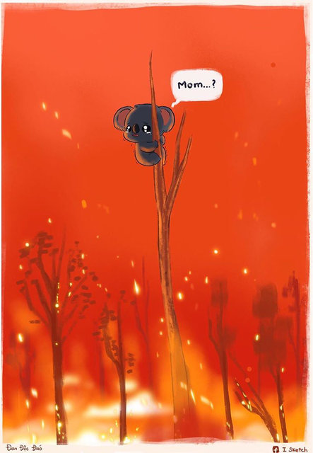 Orman yangınlarını böyle işlediler...