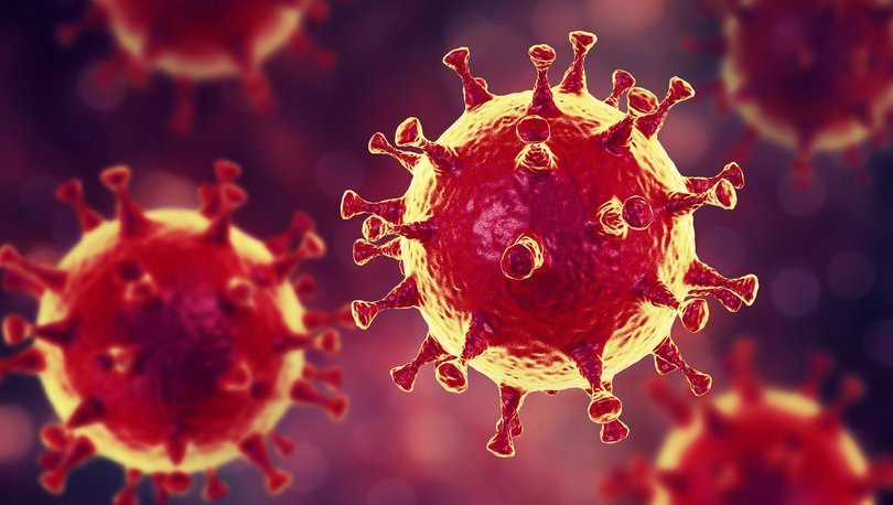Dünyada coronavirus (koronavirüs) paniği! - Haberler