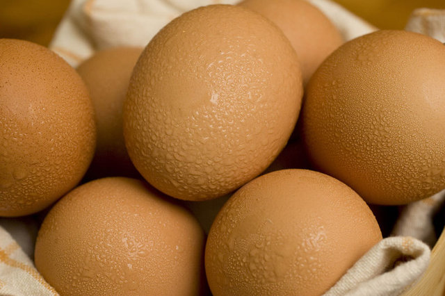 Günde bir yumurta kalp hastalığı riskini artırmıyor
