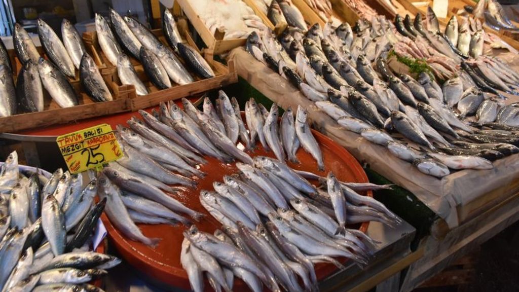 izmirliler ege baliklarini seviyor ht gastro