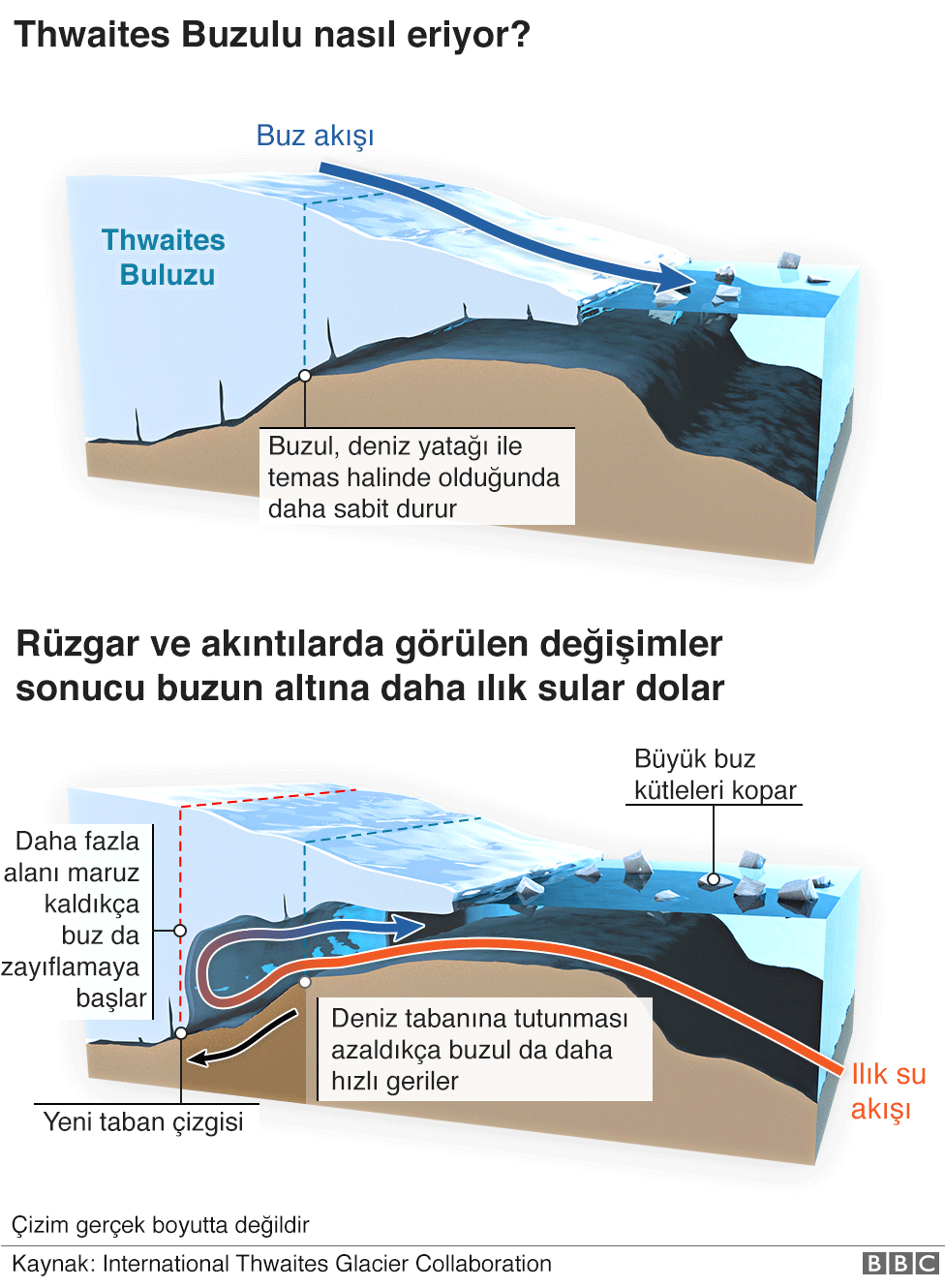 Kuresel Isinma Antarktika Daki Kiyamet Gunu Buzulu Neden Hizla Eriyor