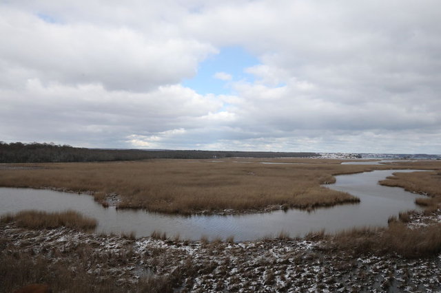 Longoz ormanlarından görsel şölen HT Gastro
