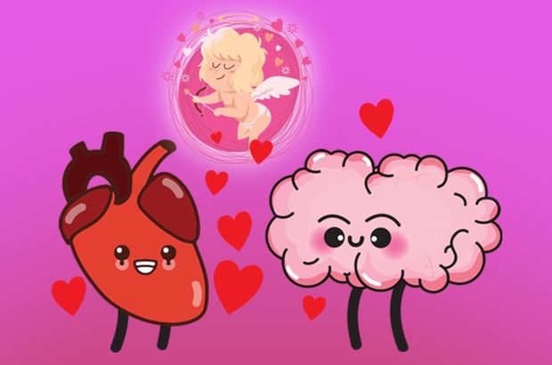 Aşk beyinde mi kalpte mi başlar?