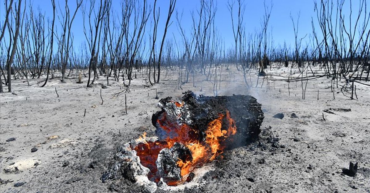 Avustralya’daki yangınlar 6 ay sonra kontrol altına alındı