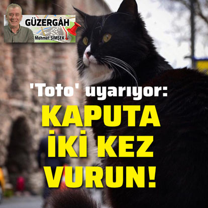 Lütfen kaputa iki kez vurun!