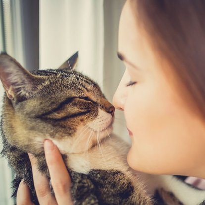 Kedi Sahibi Olmak Ruh Sagligina Iyi Geliyor Saglik Haberleri