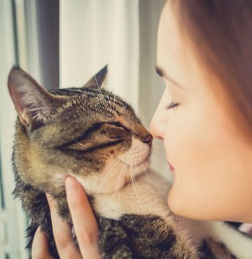 Kedi sahibi olmanın ruh sağlığı üzerinde olumlu etkileri olduğunu kaydeden uzmanlar, kedilerin yalnızlığa ve depresif ruh haline iyi geldiğine dikkat çekiyor. Uzmanlara göre kedi beslemek çocukların sosyal iletişimini olumlu etkileyip empati ve sorumluluk duygularını artırıyor. Öyle ki kedi besleyen kişilerin kalp krizi geçirme olasılıkları ise beslemeyenlere göre daha az