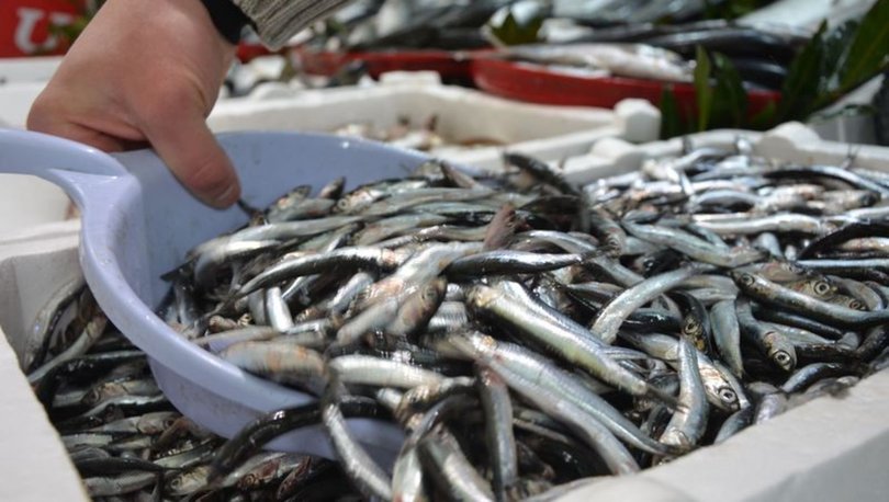 Karadeniz’de balık piyasasında durgunluk