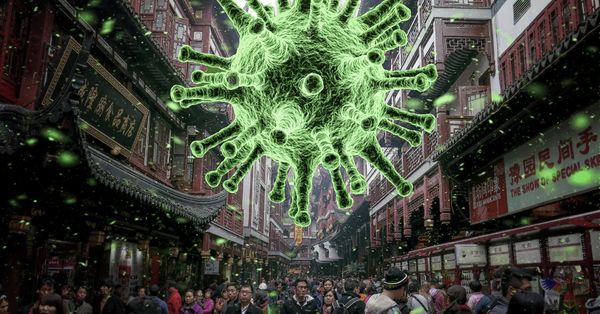 koronavirus ozel saglik sigortasi