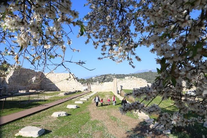 Patara Antik Kenti'nde baharın uyanışı| HT Gastro