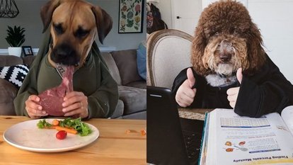 Koronavirüs yeni akım başlattı