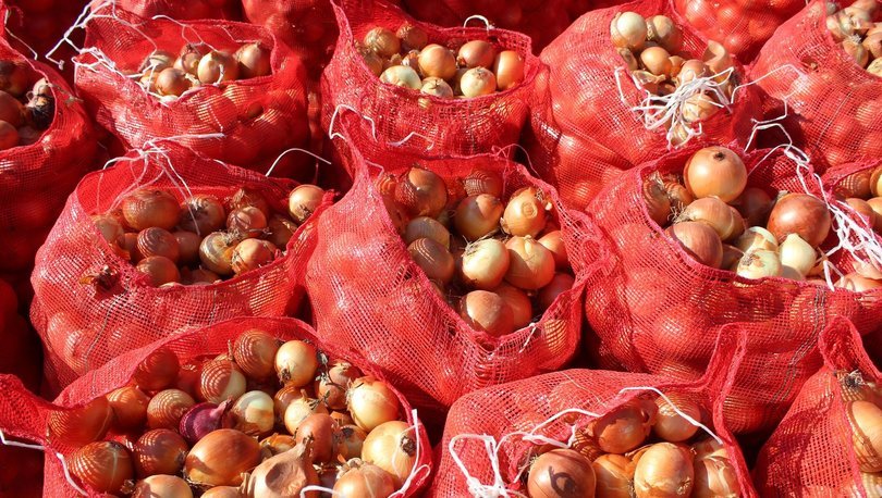 Adana'da bu sezon 140 bin ton turfanda kuru soğan rekoltesi bekleniyor