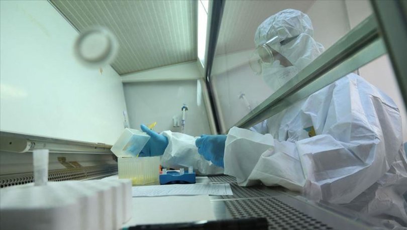 Türk firması, Paris’teki hastaneye 1 günde koronavirüs polikliniği kurdu - Haberler