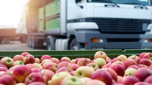 Temassız dış ticaret dönemi