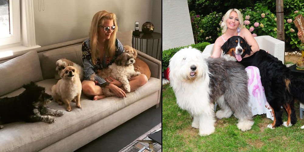 Sokak hayvanlarına yuva arıyorlar