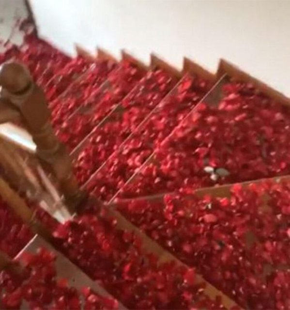 Selin Ci�erci'ye e�inden do�um g�n� s�rprizi