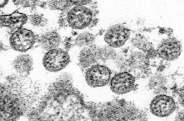 Koronavirüs salgını sonrası çocuklarda 'kawasaki' hastalığına dikkat