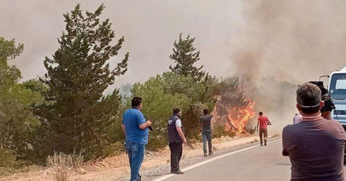 Son dakika! KKTC'de orman yangını, Türkiye'den helikopter gönderildi - Haber