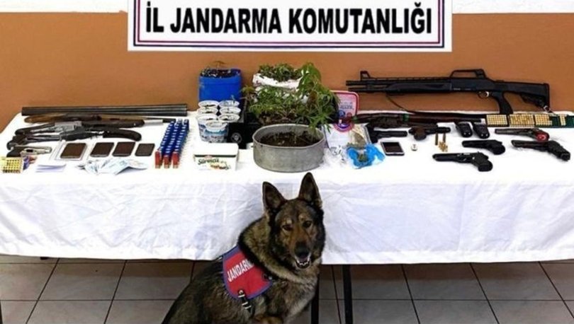 Trabzon’da 9 ayrı adrese uyuşturucu baskını