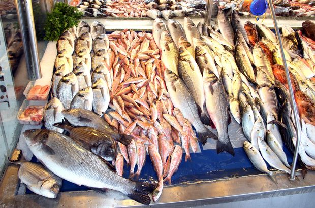 Balık ve deniz ürünleri ithalatına kayıt düzenlemesi