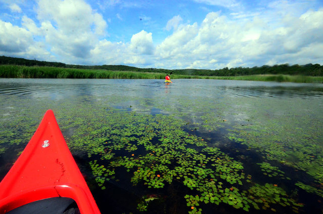 Yeşilin ve mavinin tonlarıyla görsel şölen sunuyor